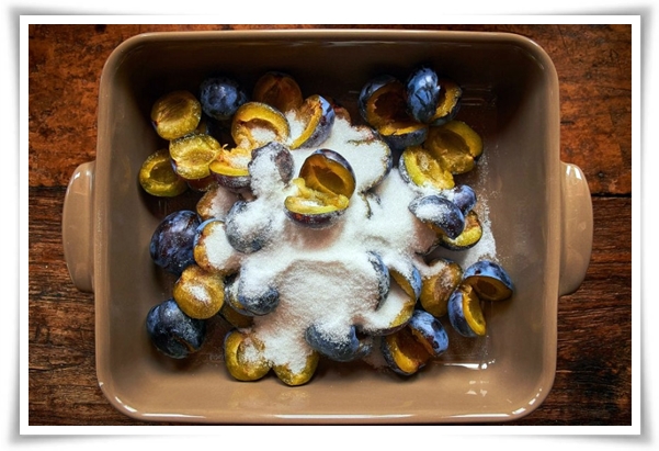 텃밭 "6월, 매실 수확하세요!" 초록빛 활력의 싱그러운 여름의 맛 매실!