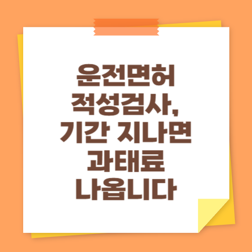 운전면허 적성검사, 기간 지나면 과태료 나옵니다