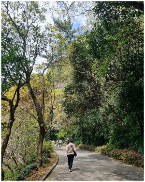 천지연폭포