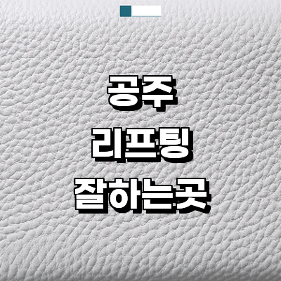 공주시 리프팅 병원