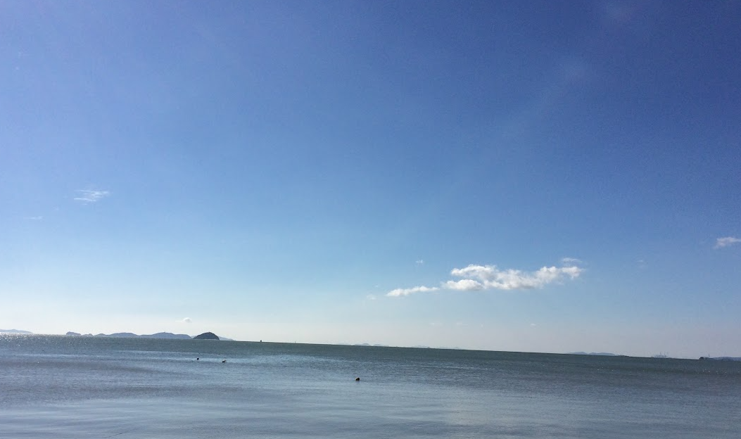 소금물과 바닷물 : 우리 몸에 진짜 효과가 있을까?