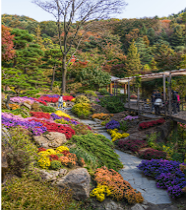 화담숲 예약 할인