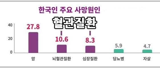 혈관질환 위험성