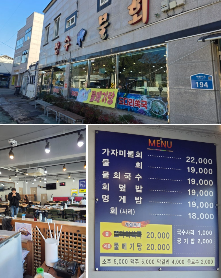 [부산] 기장군 장안읍 물회 맛집, 장수물회 12월 방문후기