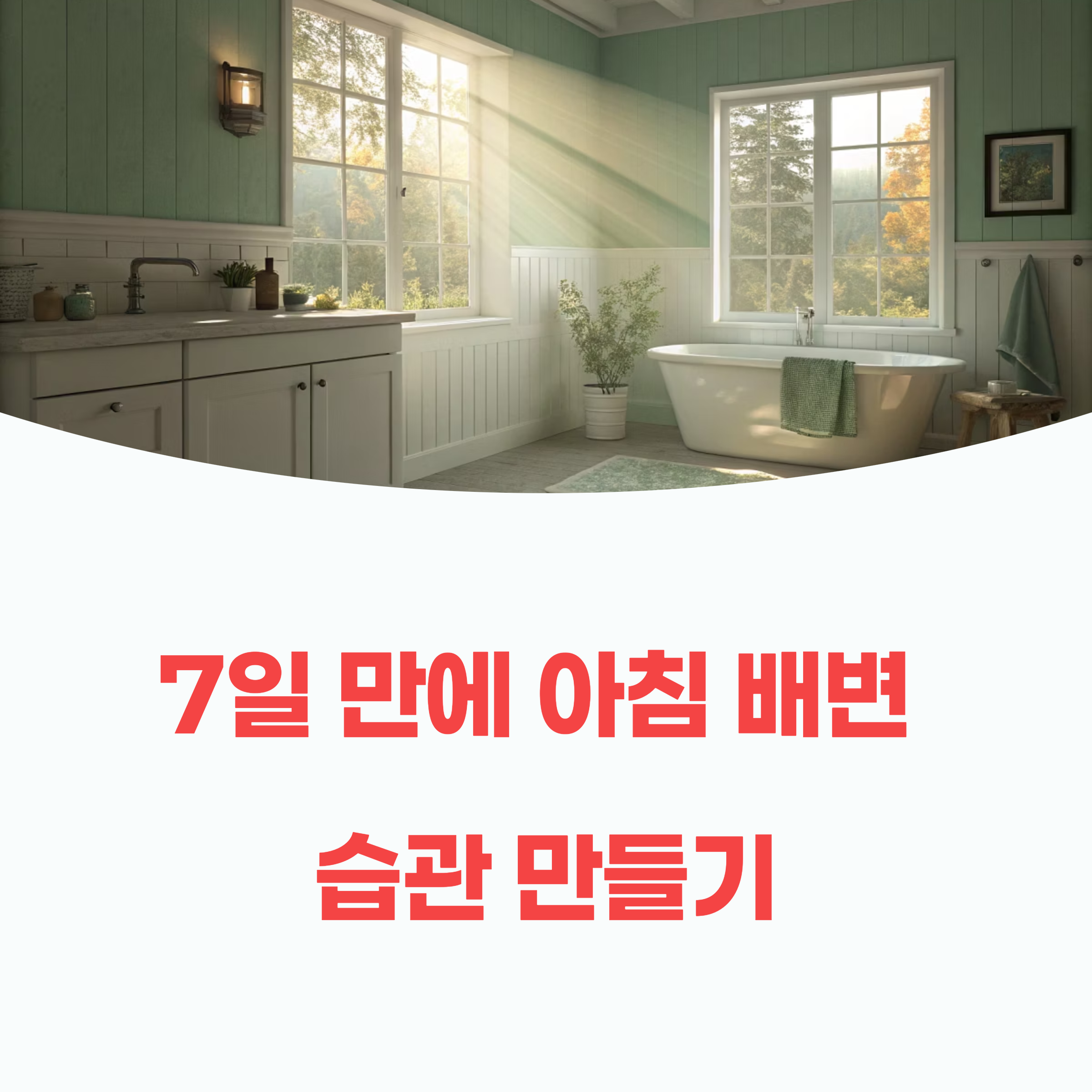 아침 배변 습관을 위한 7일 루틴