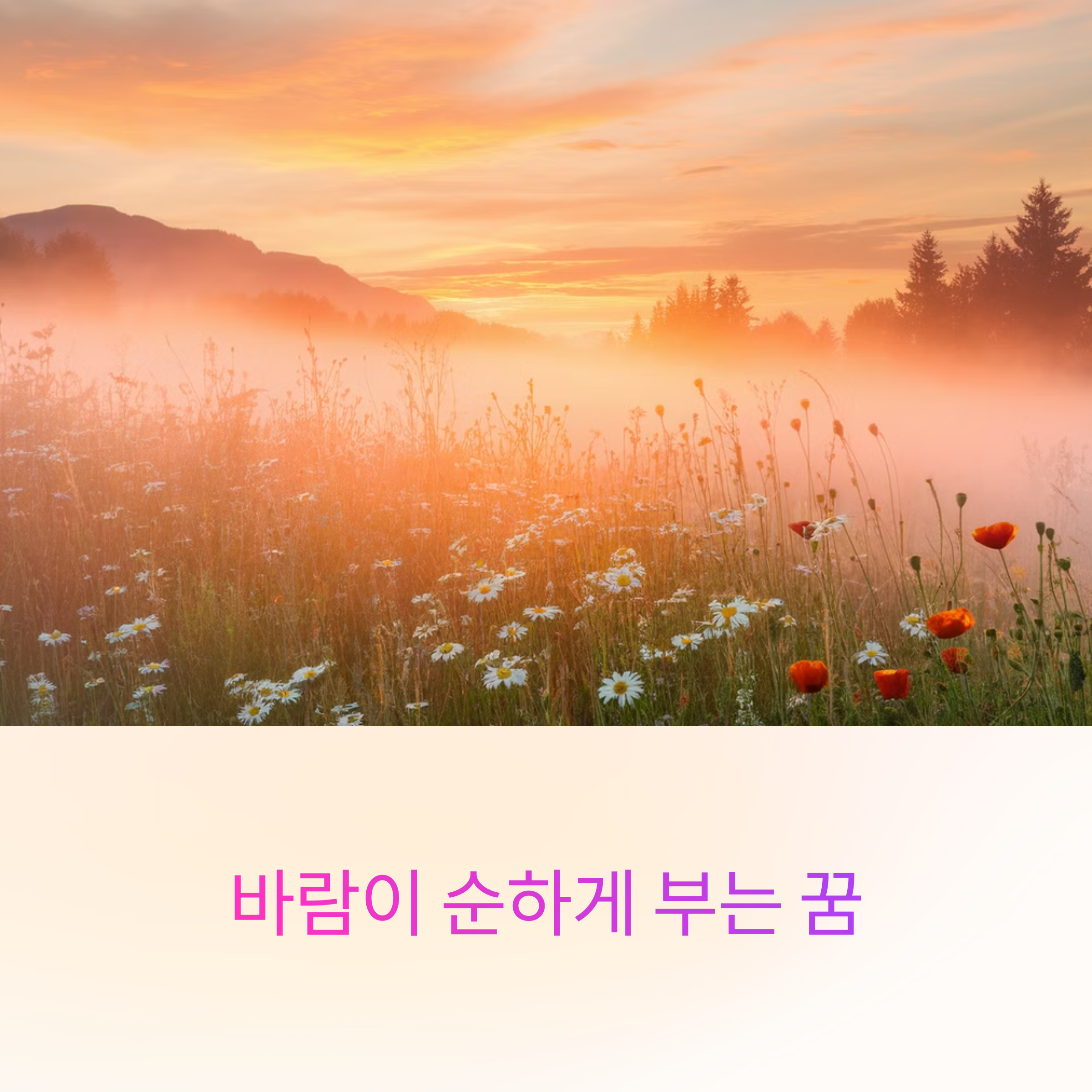 바람이 순하게 부는 꿈