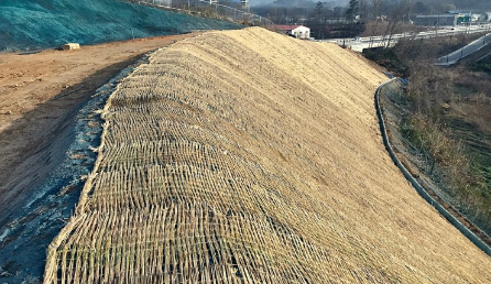 씨드스프레이 후 거적덮기 모습