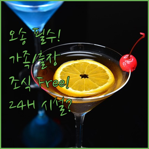 출장 가족 여행객 맞춤형 청주 오송 ..