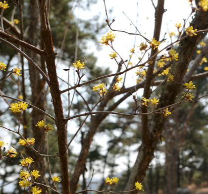 화성 가볼만한곳 베스트10