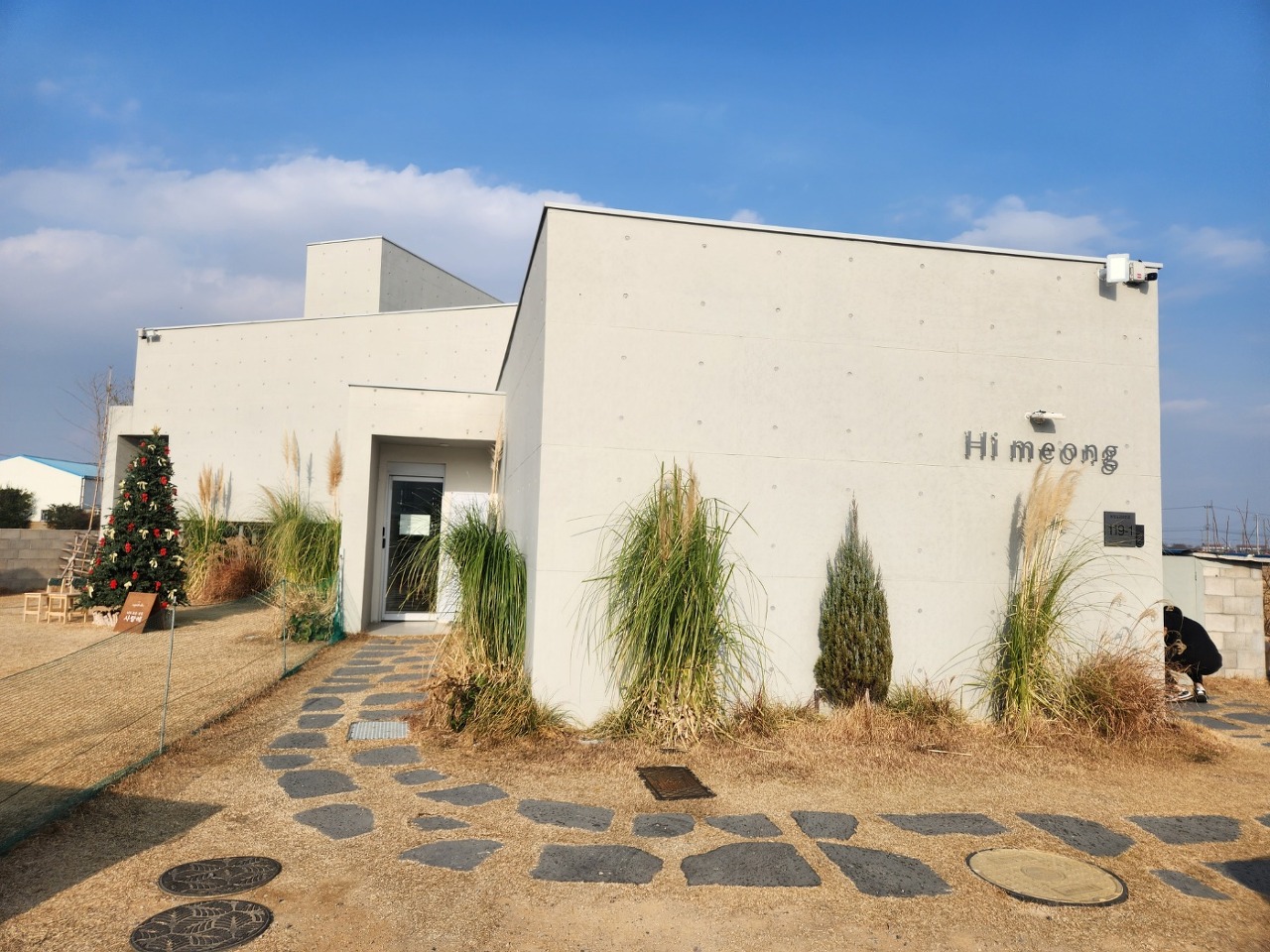 애견 카페 크고 괜찮은 곳15