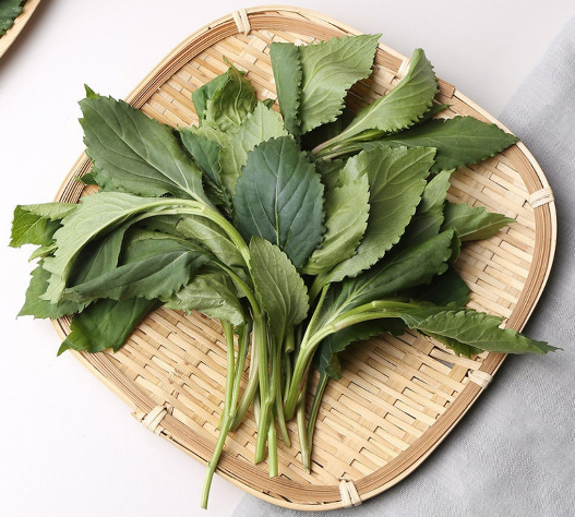 3월에 먹으면 좋은 제철 음식(봄철 음식) - 취나물편 (효능, 취나물이 들어가는 음식)