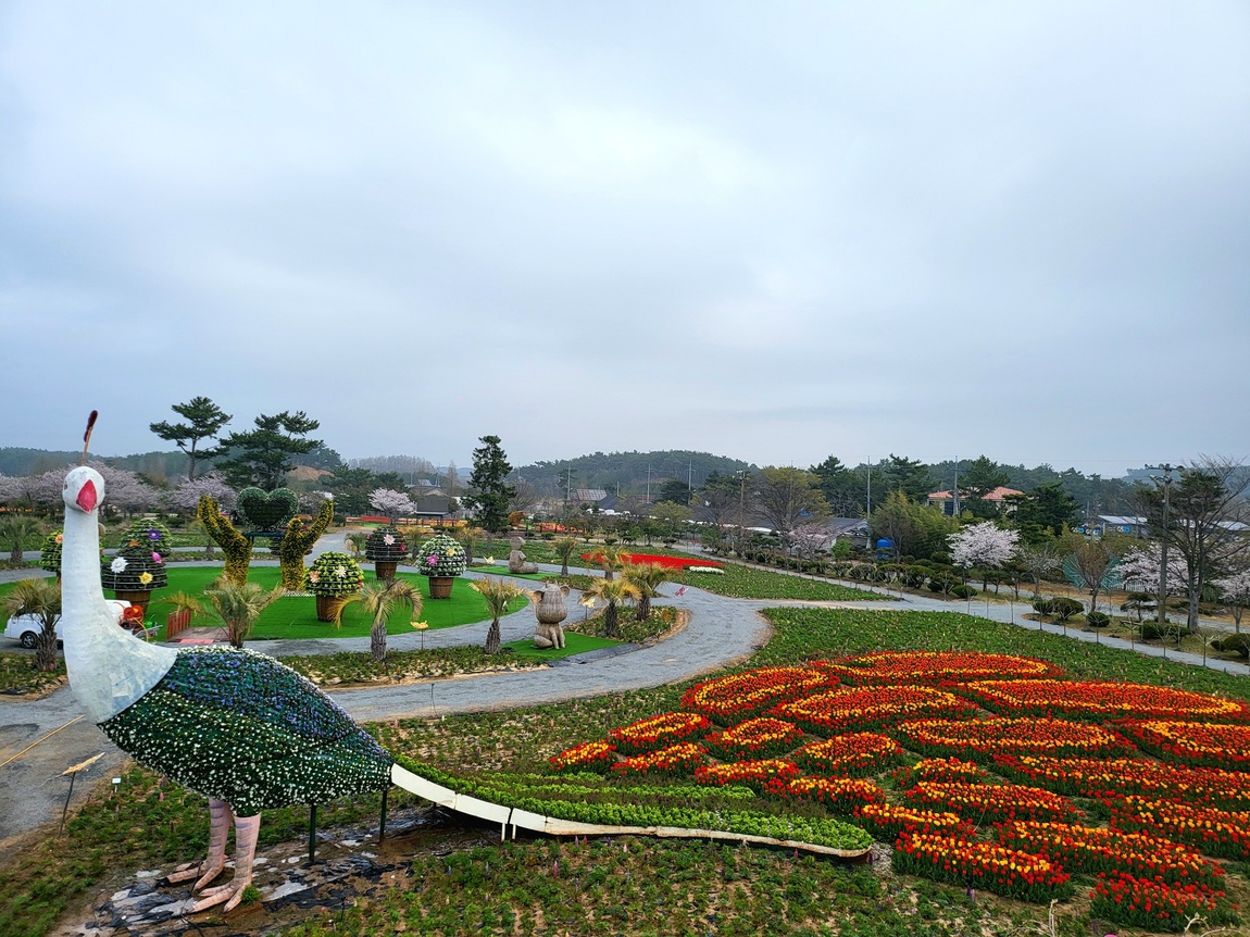 2025 태안 봄꽃 정원 기본정보