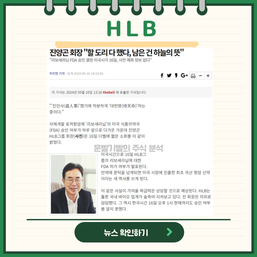 HLB뉴스