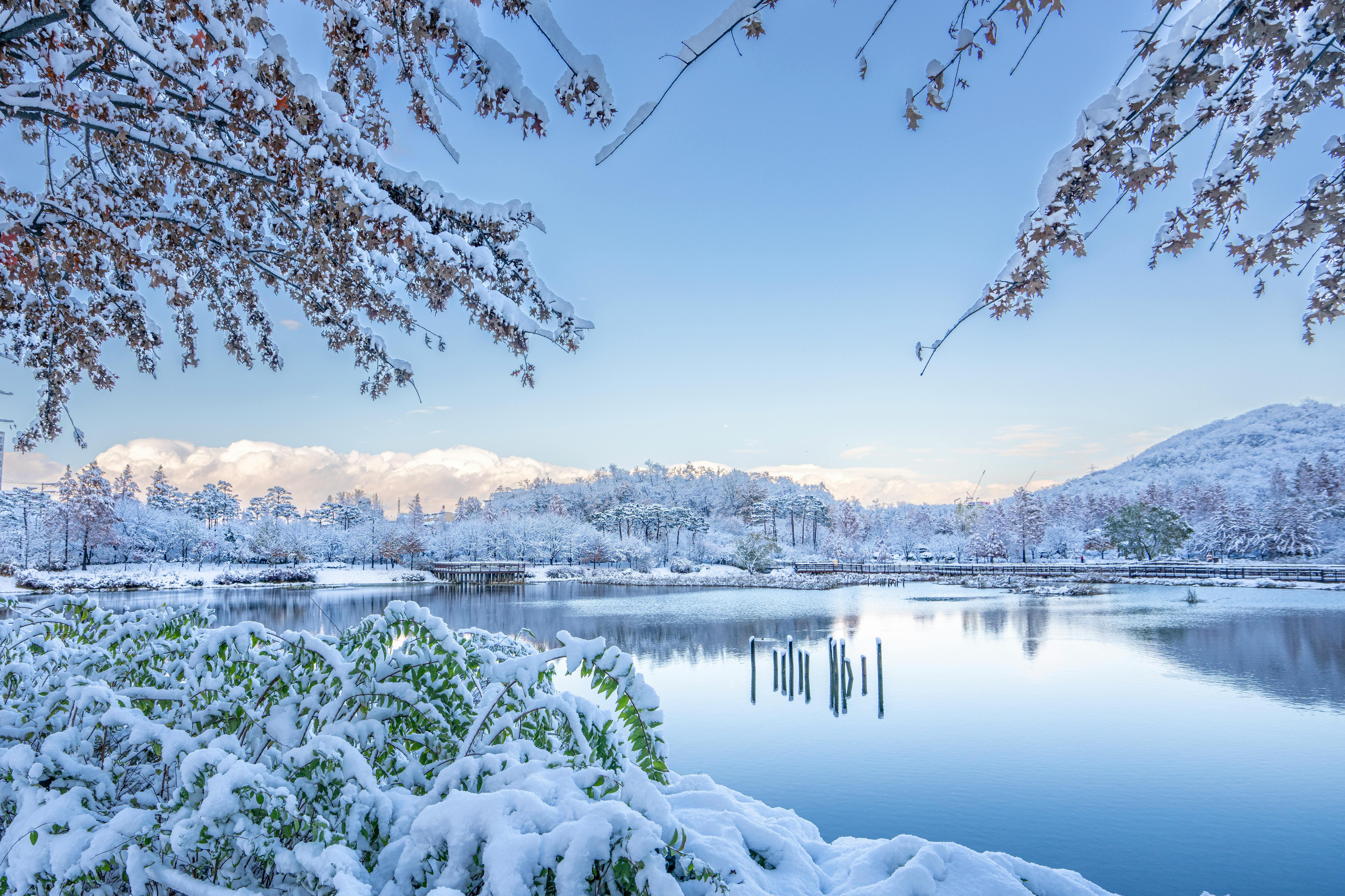 2025-2026 겨울 시즌 전국 스키장 개장 일정