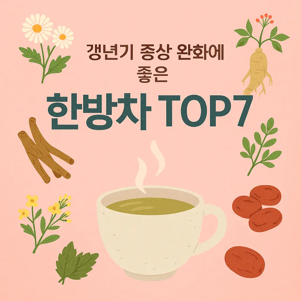 갱년기 증상 완화에 좋은 한방차 추천 TOP7