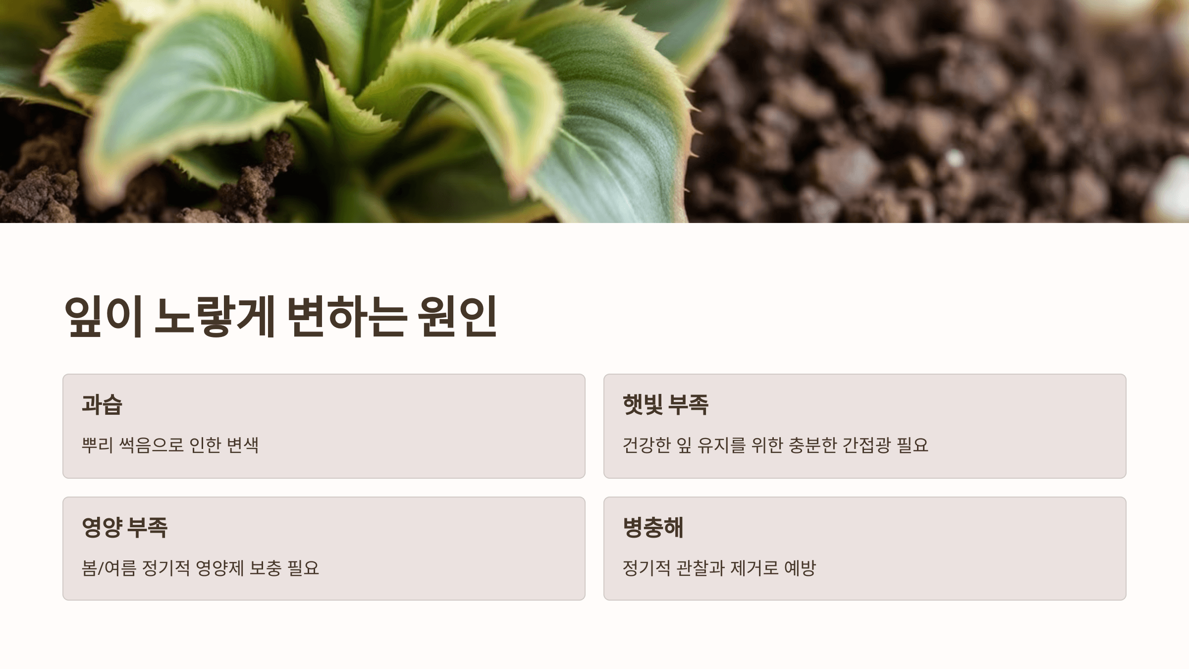 스킨답서스와 관련된 사진입니다.