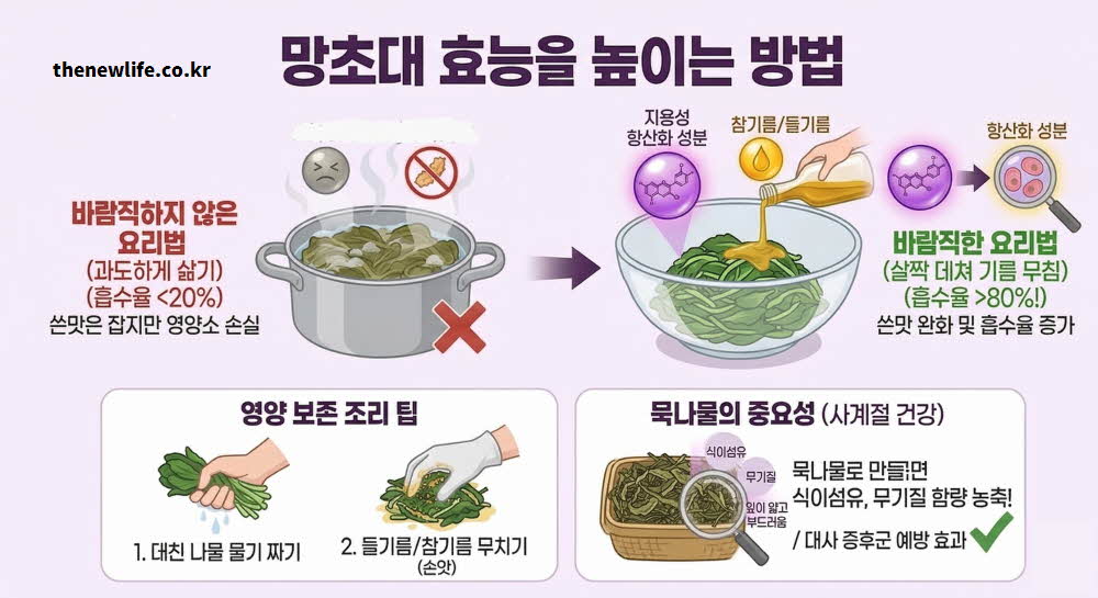 망초대 효능 높이는 요리법 섭취 방법