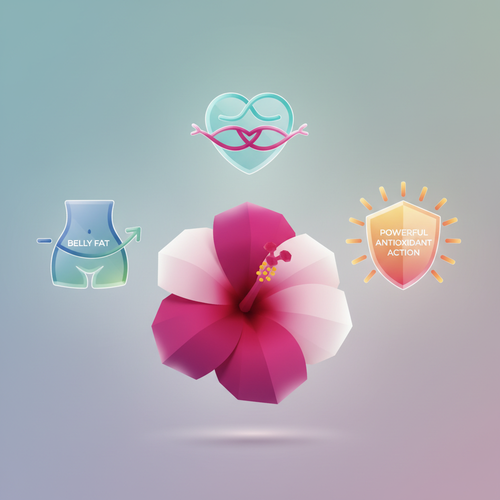 뱃살 관리부터 혈압 조절까지! 히비스커스 핵심 효능 3가지