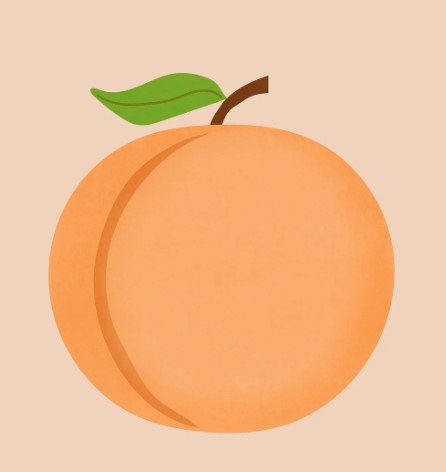 강아지가 복숭아를 먹었을 때 효능, 부작용, 주의사항