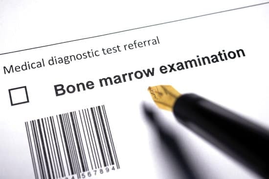 골수 검사