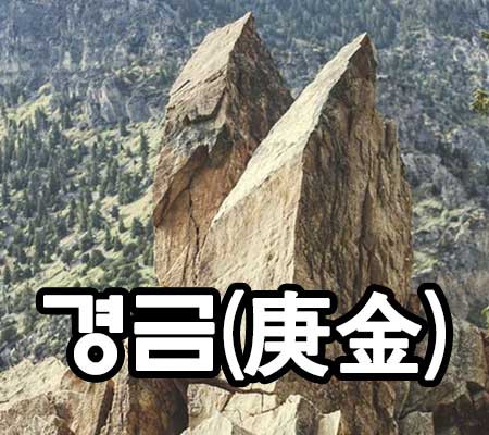 경금 썸네일