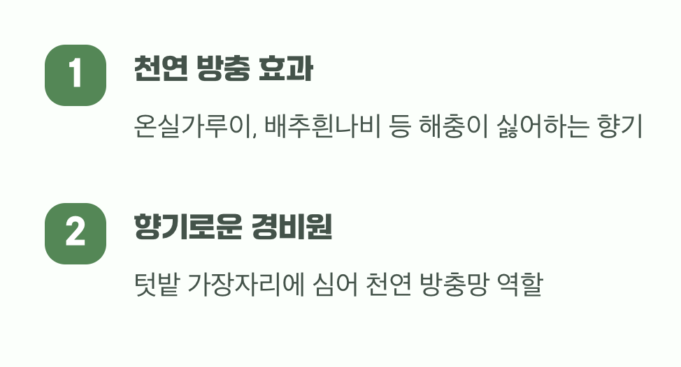 아름다운 외모 속 특별한 향기