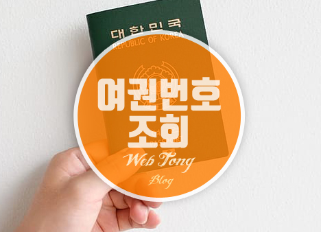 여권번호 조회