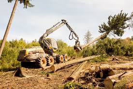 임업경영체 등록조건