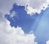 ENTP 유형 특징 분석