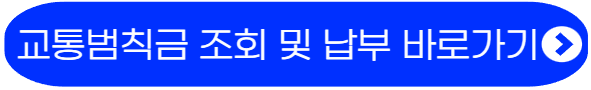 교통범칙금조회-납부