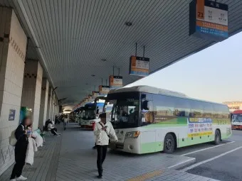 부산 동부시외버스터미널 시간표 예약 예매_18