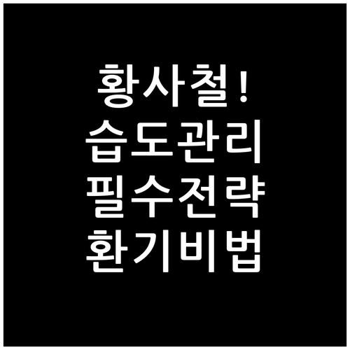 황사철 실내 습도 관리와 환기 요령 ..