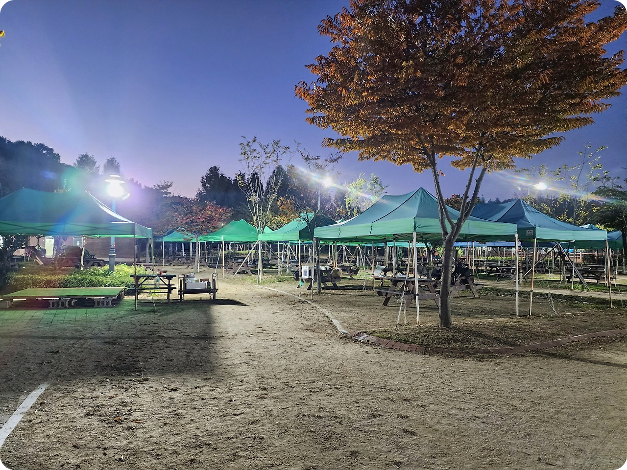 피크닉존 이미지
출처: 인천대공원 캠핑장 홈페이지