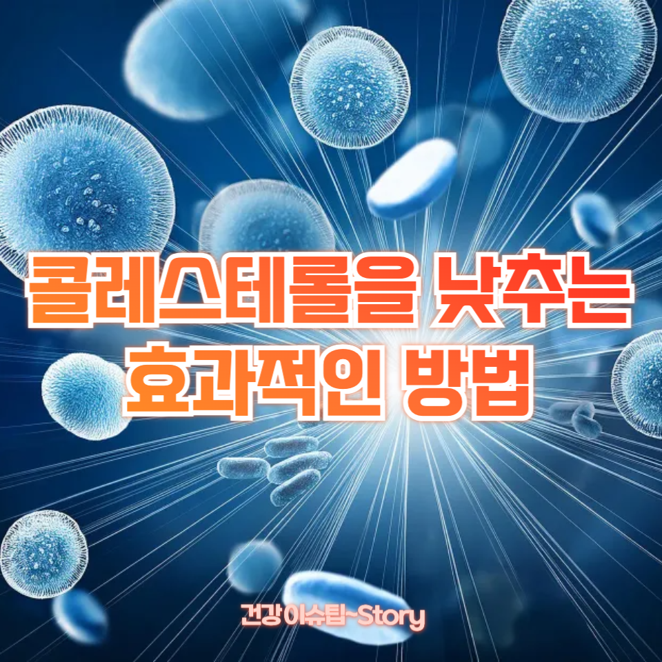 콜레스테롤을 낮추는 효과적인 방법