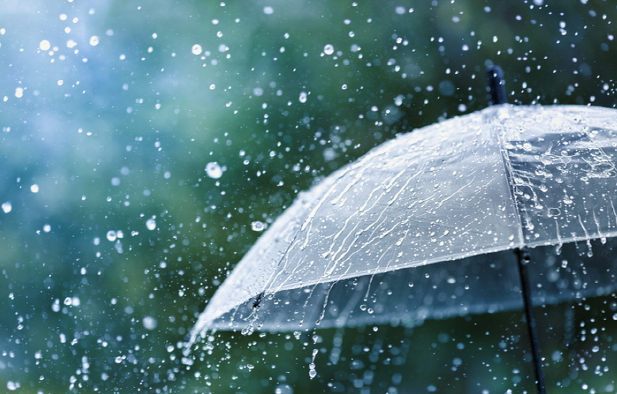 2025 장맛비 예보 총정리: 이번 여름 집중호우 대비법