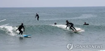 5월 동해 바다낚시 최고 추천 어종과 인기 포인트 완벽 총정리_19