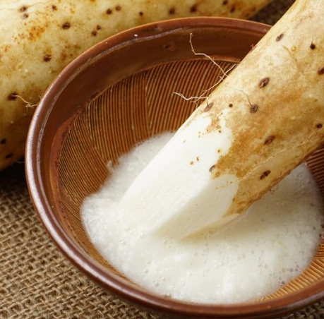 한국의 떡 종류 마꽃떡