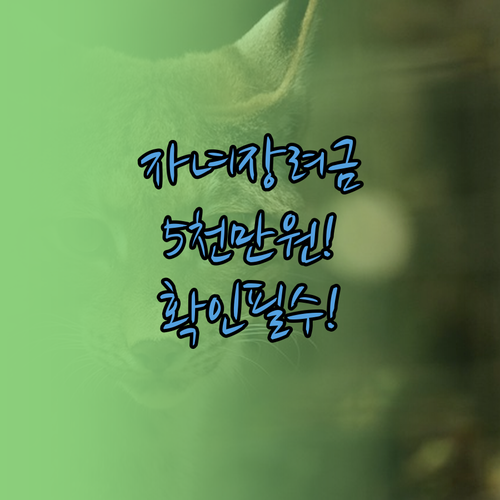 자녀장려금 5000만원 지급 사실 확..