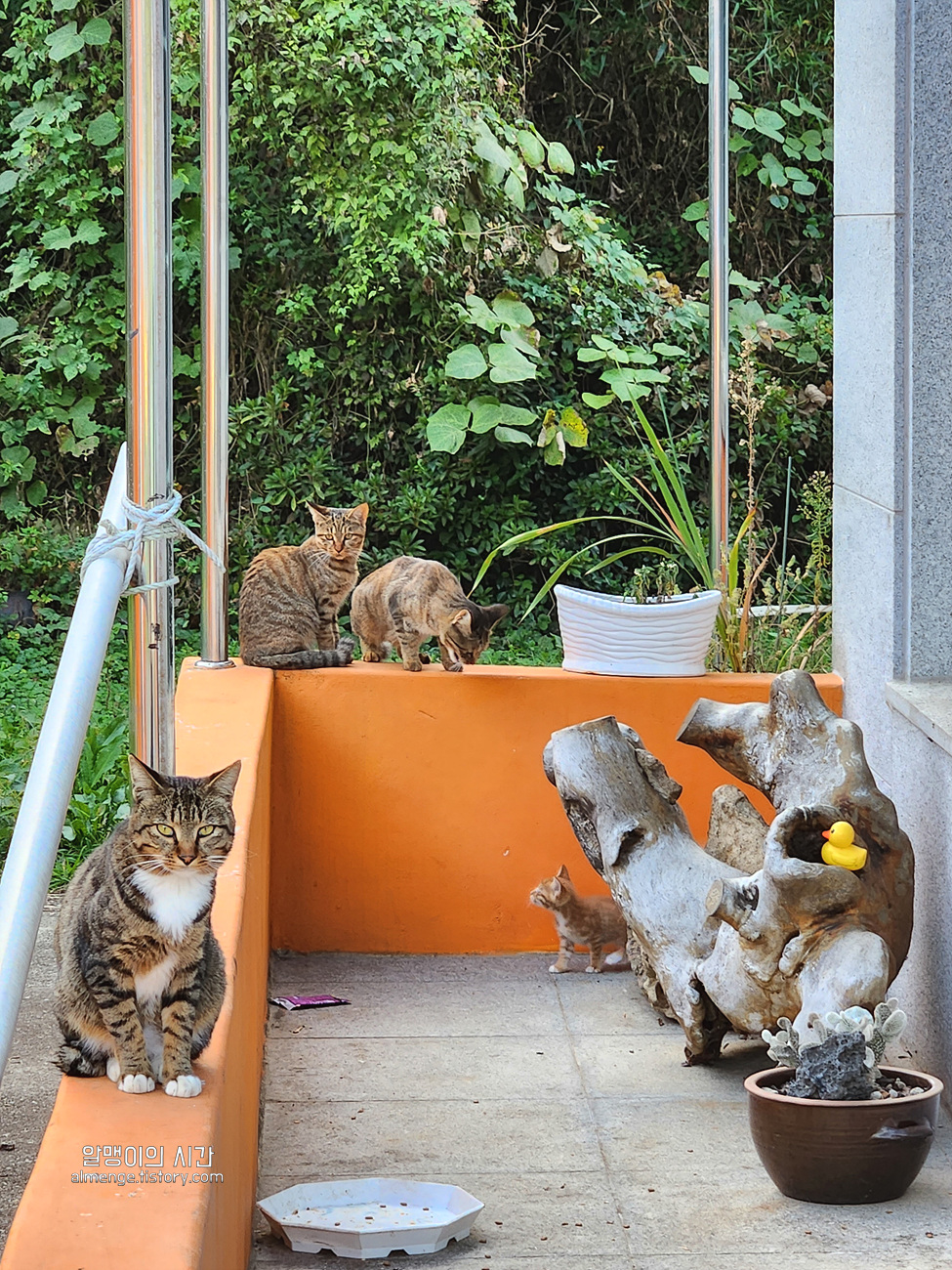 #26-2 여수 개도 백패킹_여기 온돌 돌침대 있어요 (노지 캠핑) - undefined - 화장실 #26-2 여수 개도 백패킹_여기 온돌 돌침대 있어요 (노지 캠핑) - undefined - 화장실