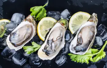 통영굴 직거래 가격, 효능 및 영양성분 부작용