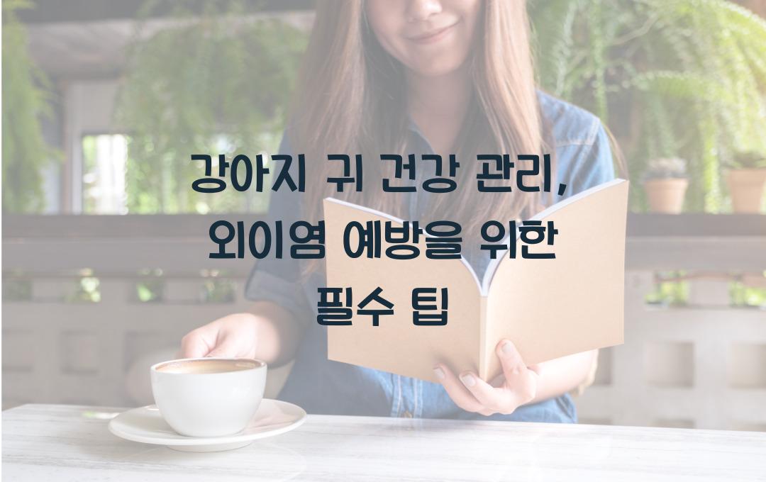 강아지 귀 건강 관리: 외이염 예방 팁