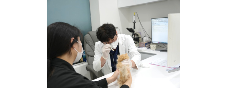 부산 연제구 동물병원