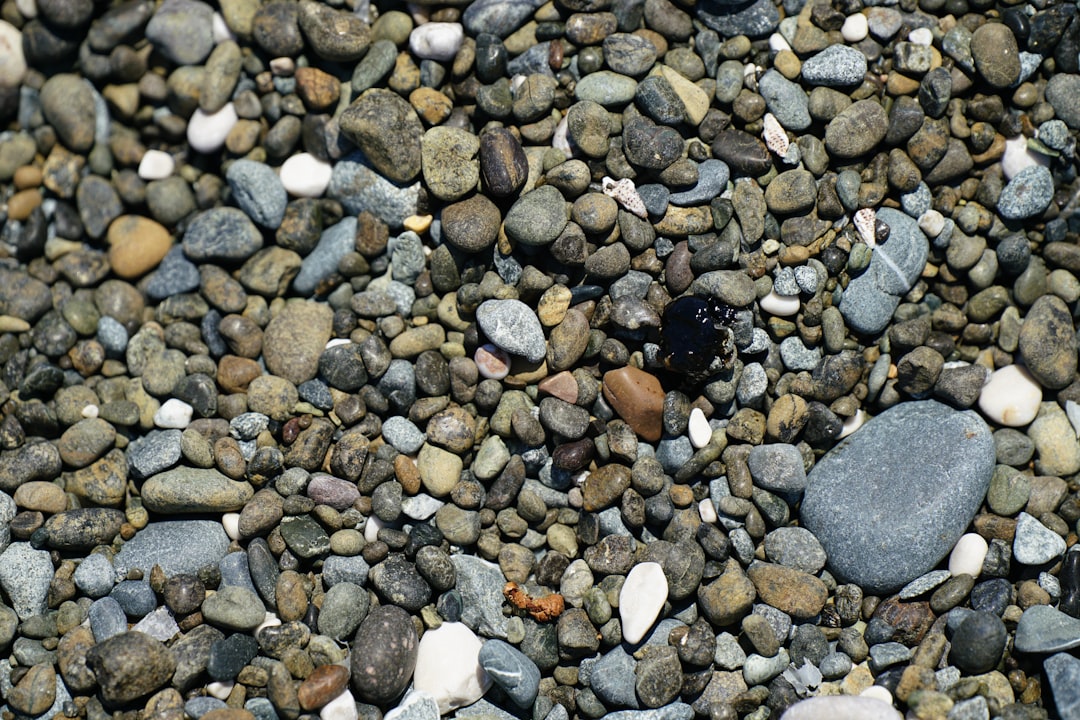 Waste Oil
