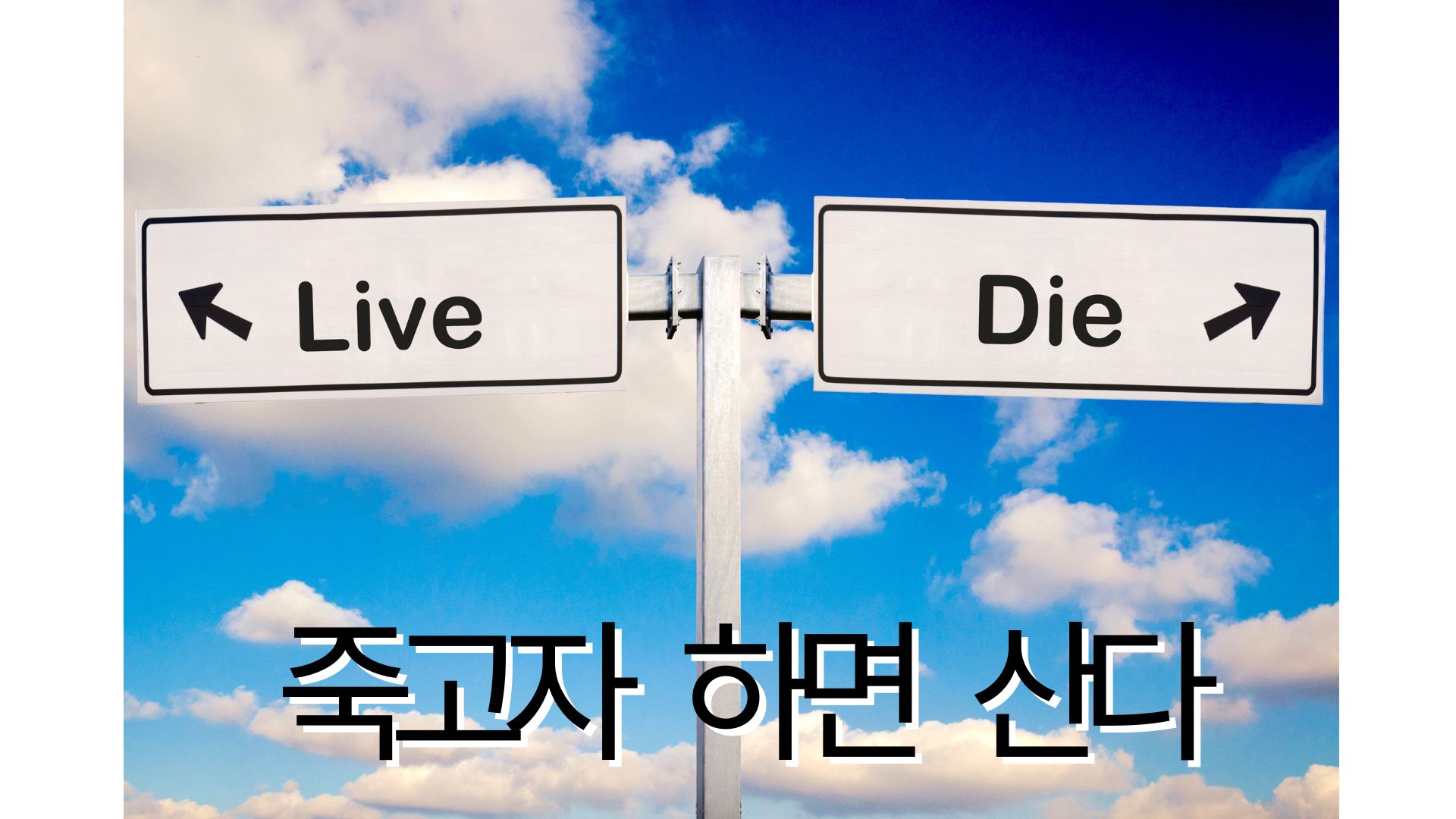 암환자 식단