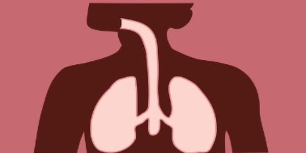 기관지 확장증의 원인과 증상,치료 방법 알아 보기