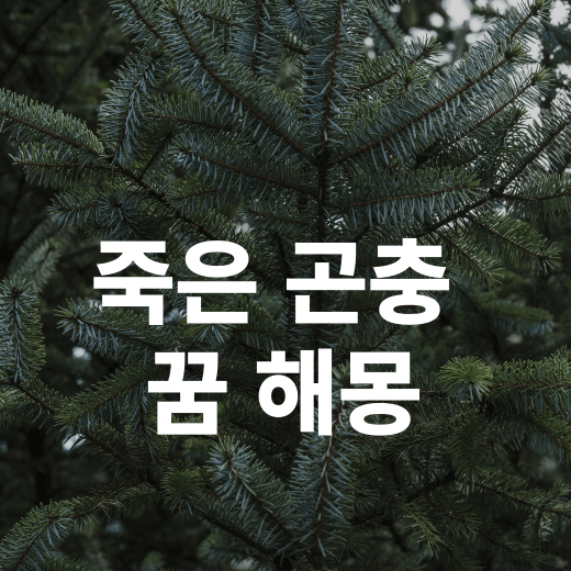 어두운 숲속 이미지에 죽은 곤충 꿈 해몽 글자가 적혀 있습니다.