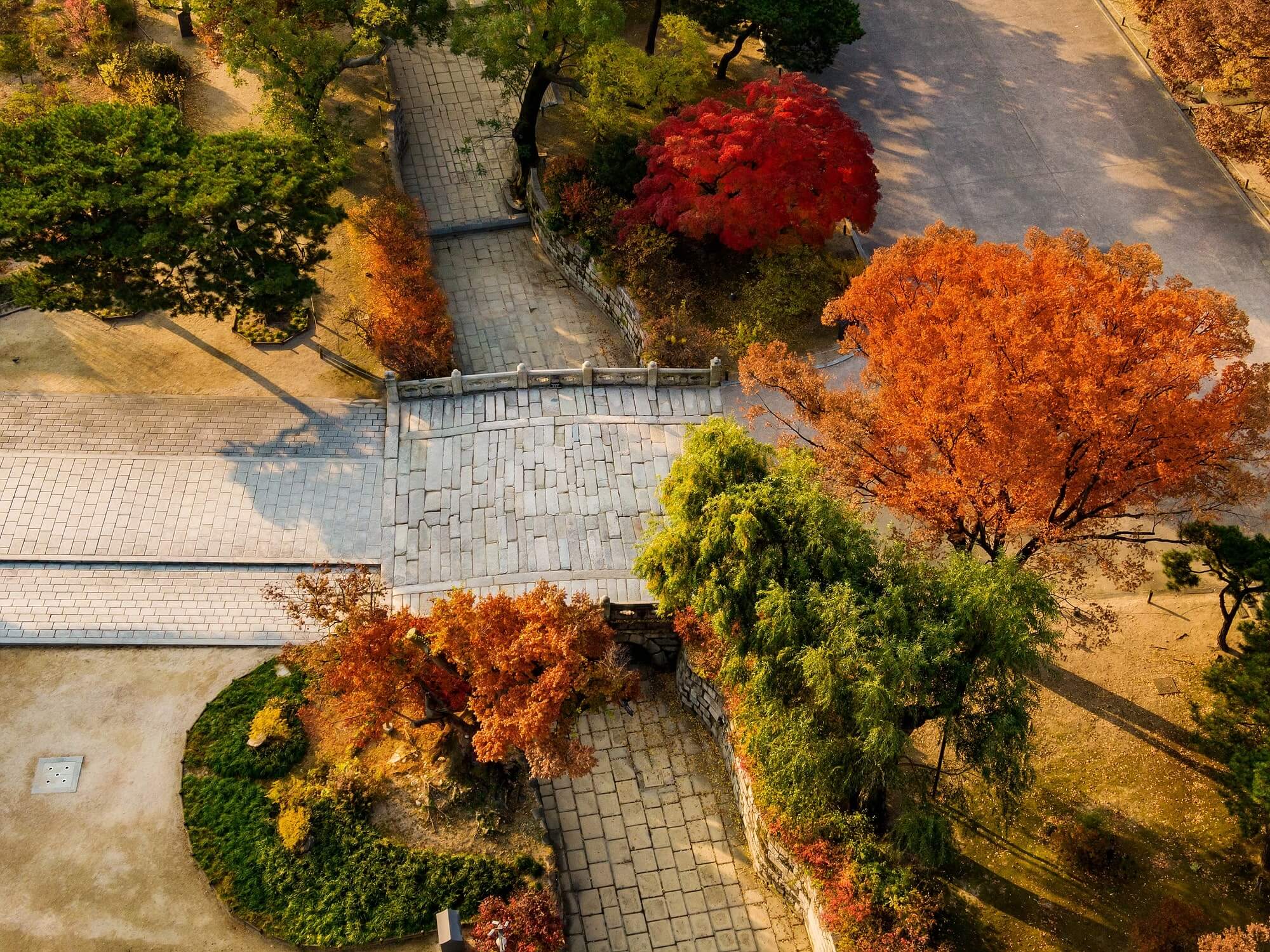 창덕궁 약방 개방 오미자차 시음