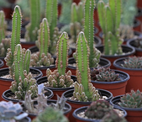 용인 가볼만한곳 이미지 입니다.