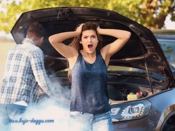 무보험차상해 선택 요령 책임보험 vs 내보험 어떤게 유리할까