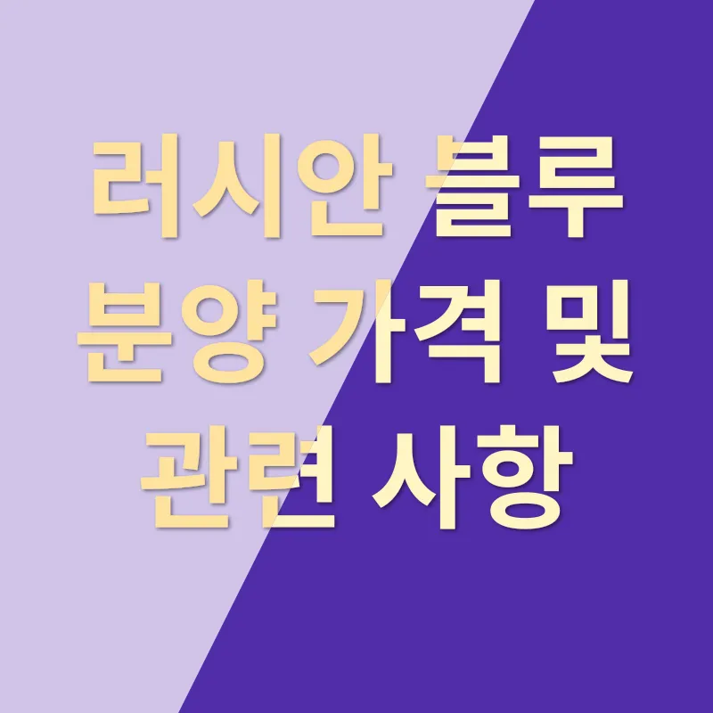 러시안 블루_3